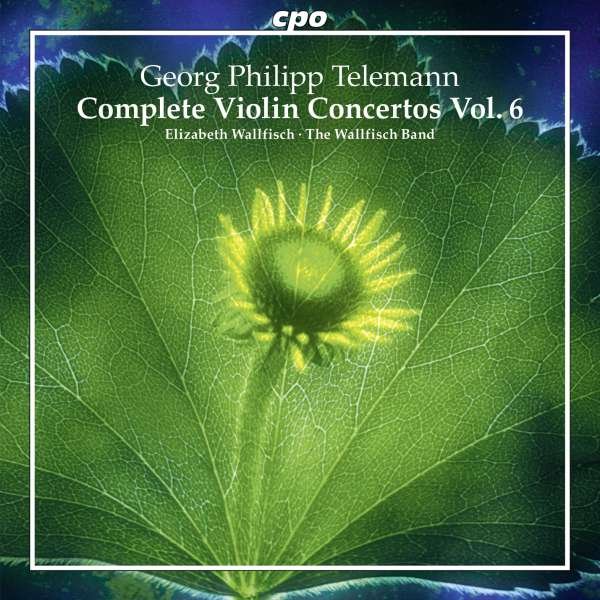 CD Shop - TELEMANN, G.P. COMPLETE VIOLIN CONCERTOS VOL.6