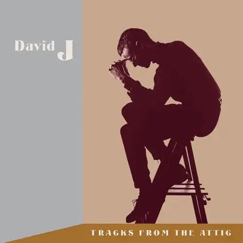 CD Shop - DAVID J TRACKS FROM THE ATTIC