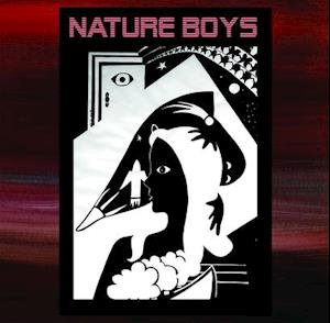 CD Shop - NATURE BOYS IV