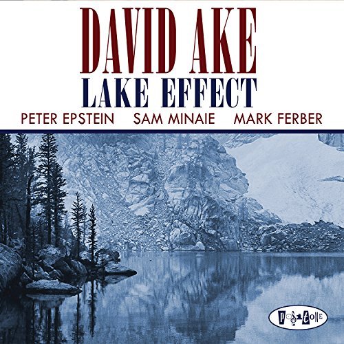CD Shop - AKE, DAVID LAKE EFFECT