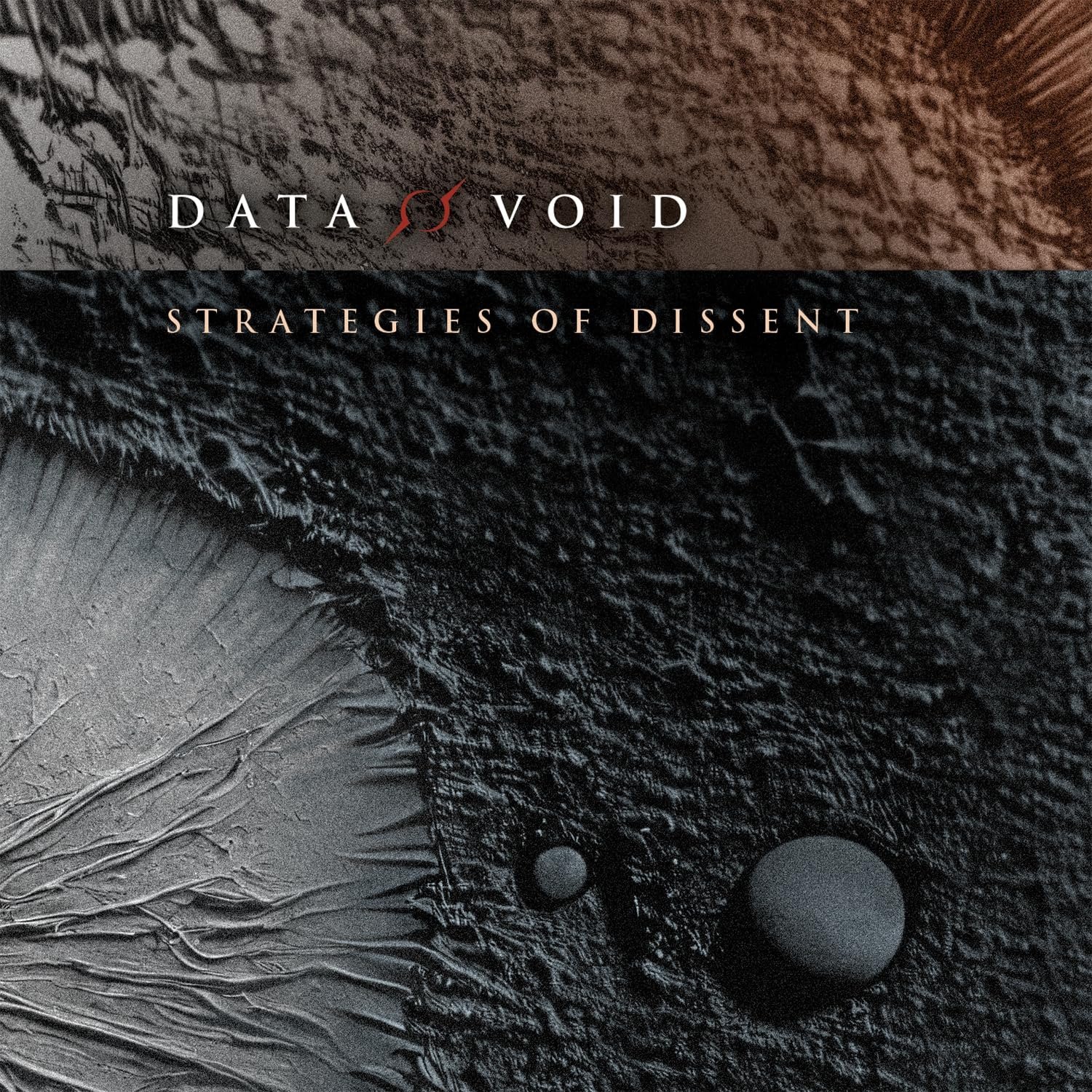 CD Shop - DATA VOID STRATEGIES OF DISSENT