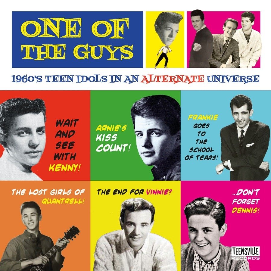CD Shop - V/A ONE OF THE GUYS (1960S TEEN IDOLS IN AN ALTERNATE UNIVERSE)