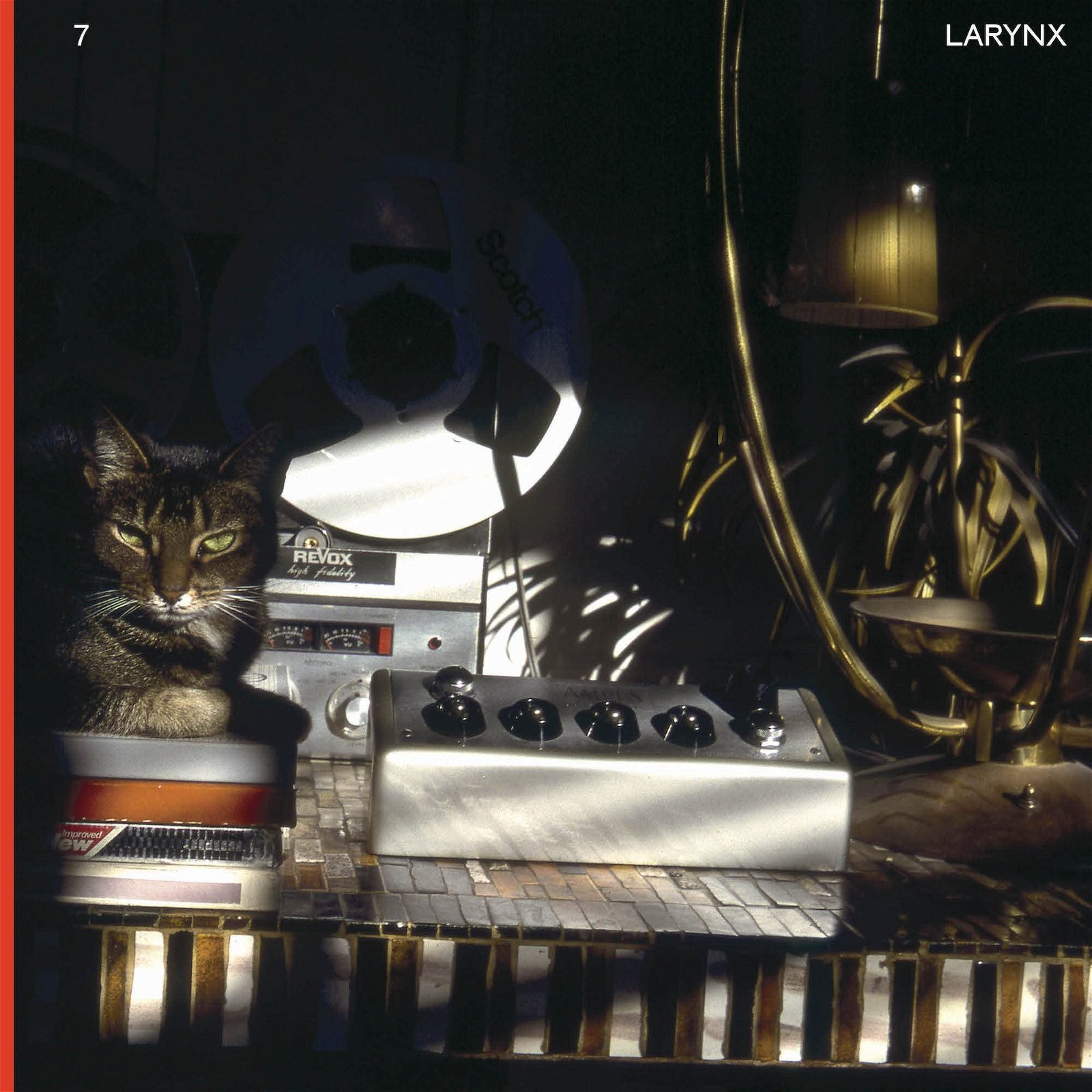 CD Shop - LARY 7 LARYNX