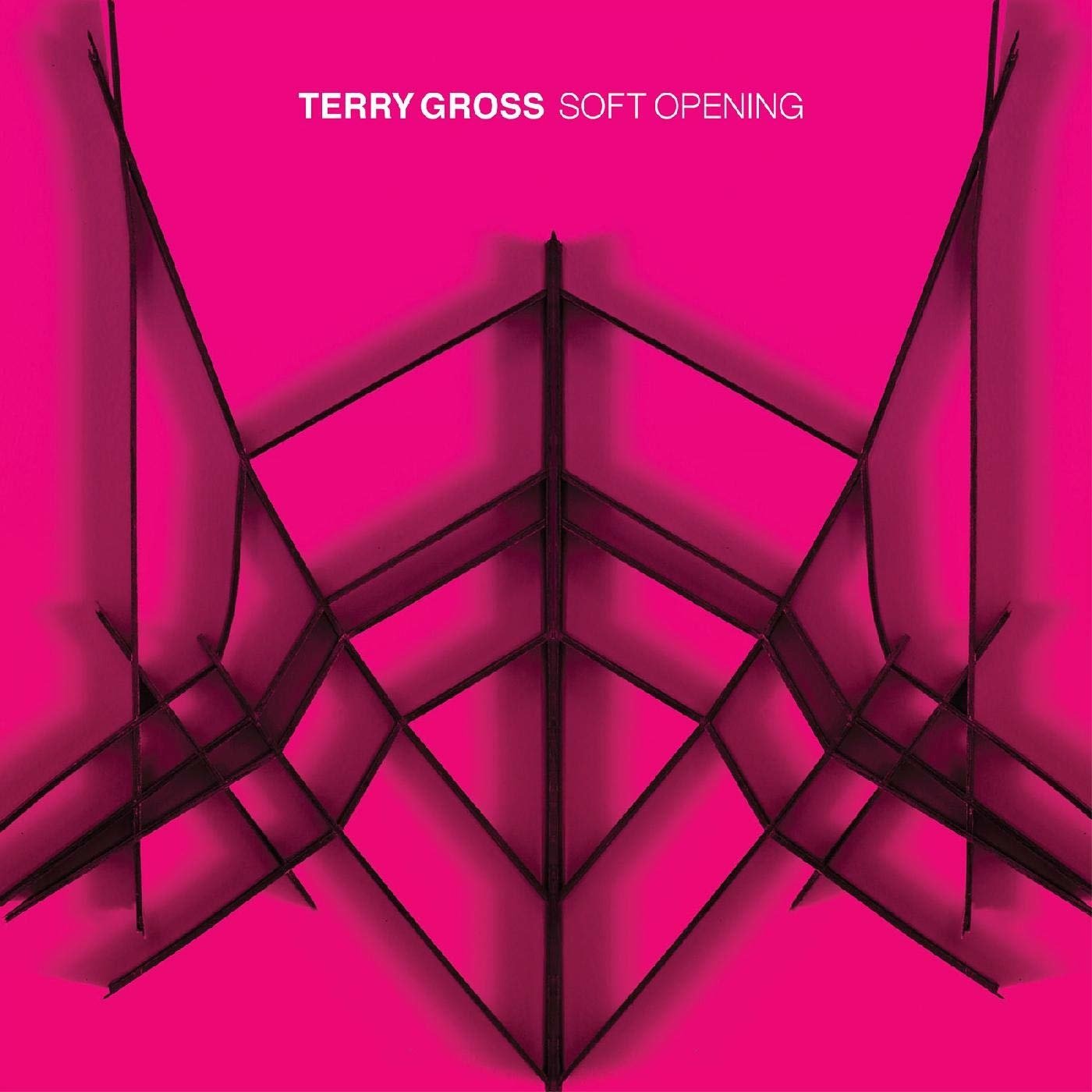 CD Shop - GROSS, TERRY SOFT OPENING