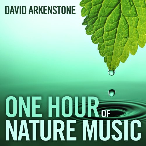 CD Shop - ARKENSTONE, DAVID ONE HOUR OF NATURE MUSIC