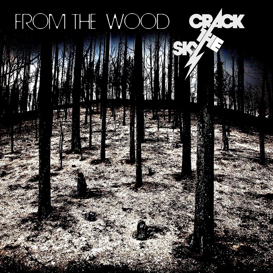 CD Shop - CRACK THE SKY FROM THE WOOD