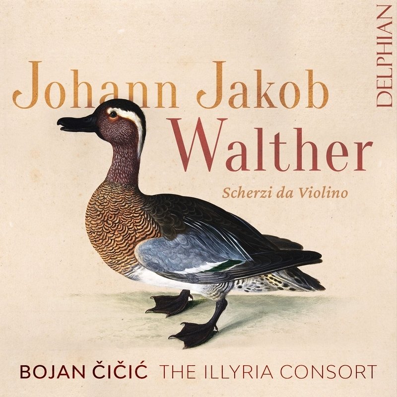 CD Shop - ILLYRIA CONSORT JOHANN JAKOB WALTHER: SCHERZI DA VIOLINO