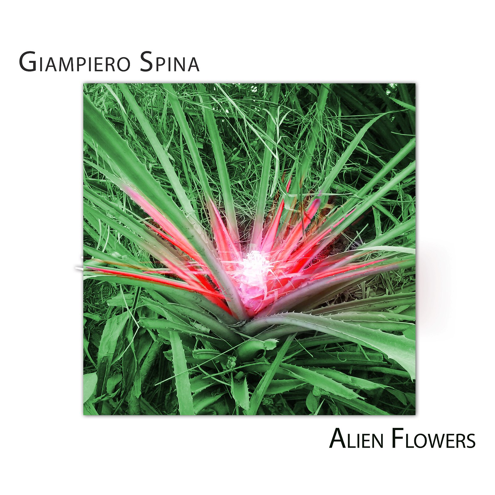 CD Shop - SPINA, GIAMPIERO ALIEN FLOWERS