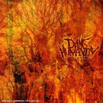 CD Shop - DYING HUMANITY FALLEN PARADISE