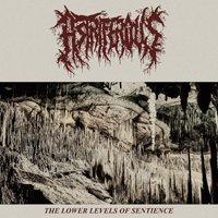 CD Shop - ASTRIFERIOUS LOWER LEVELS OF SENTIENCE