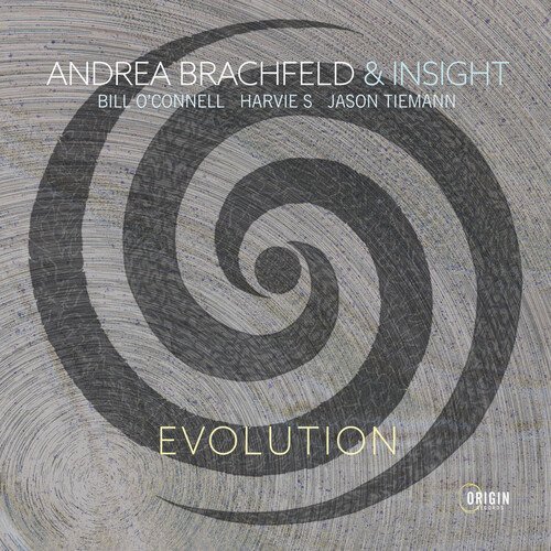 CD Shop - BRACHFELD, ANDREA & INSIG EVOLUTION