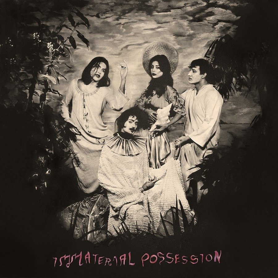 CD Shop - IMMATERIAL POSSESSION MERCY OF THE CRANE FOLK