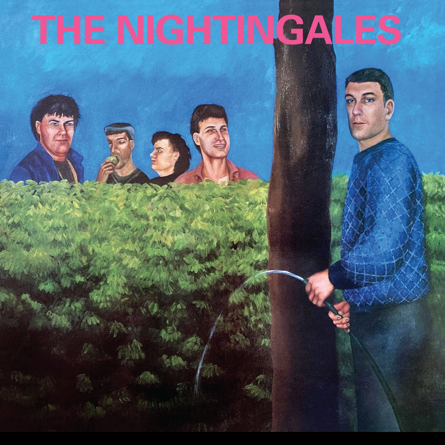 CD Shop - NIGHTINGALES IN THE GOOD OLD COUNTRY WAY