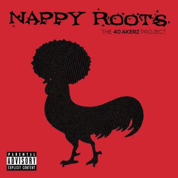 CD Shop - NAPPY ROOTS 40 AKERZ PROJECT