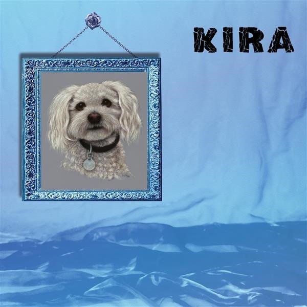 CD Shop - KIRA KIRA