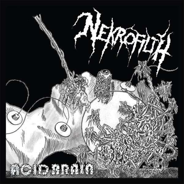 CD Shop - NEKROFILTH ACID BRAIN