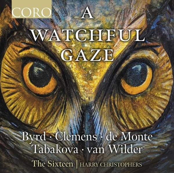 CD Shop - SIXTEEN BYRD, MONTE, PAPA, TABAKOVA & VAN WILDER: A WATCHFUL GAZE