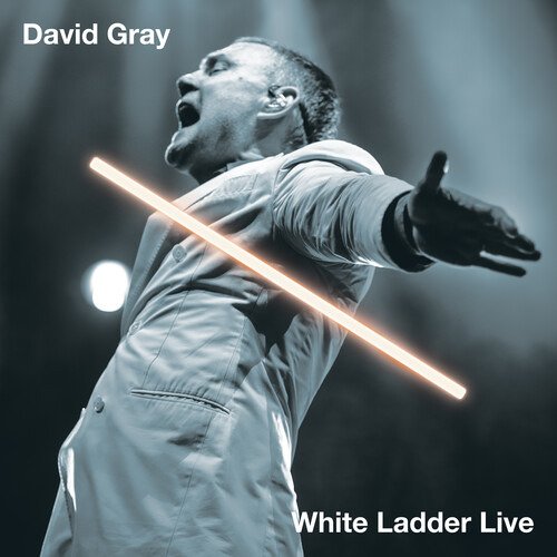 CD Shop - GRAY, DAVID WHITE LADDER LIVE