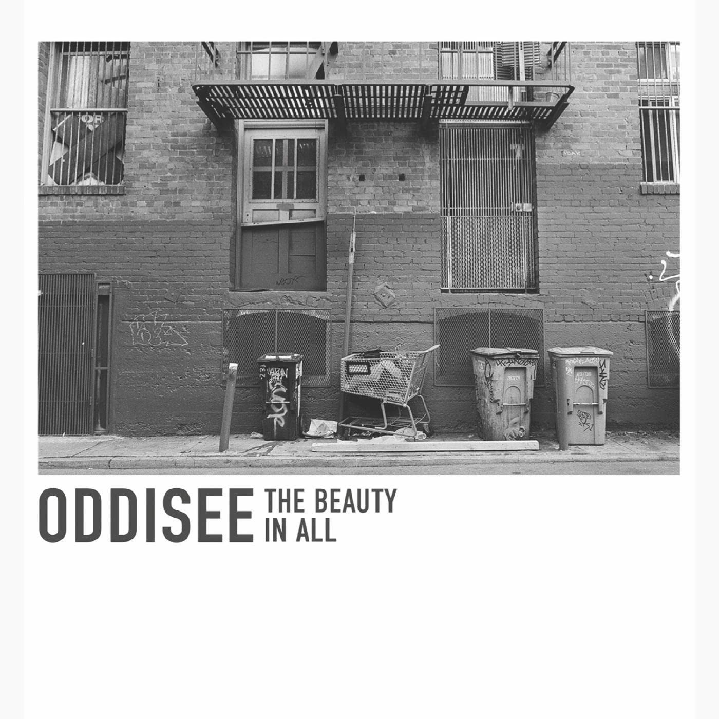 CD Shop - ODDISEE BEAUTY IN ALL
