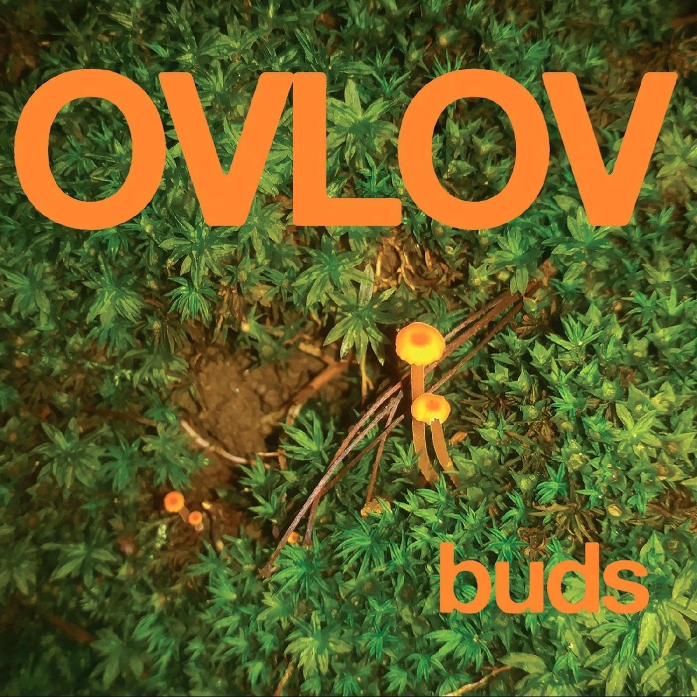 CD Shop - OVLOV BUDS