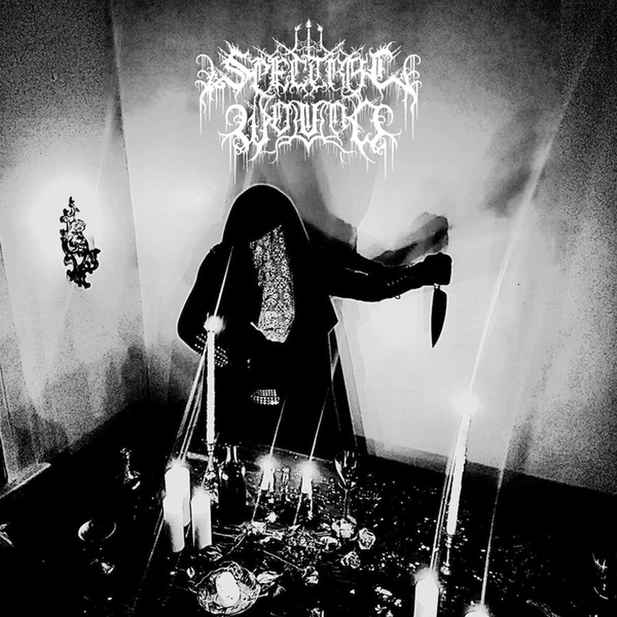 CD Shop - SPECTRAL WOUND SONGS OF BLOOD AND MIRE