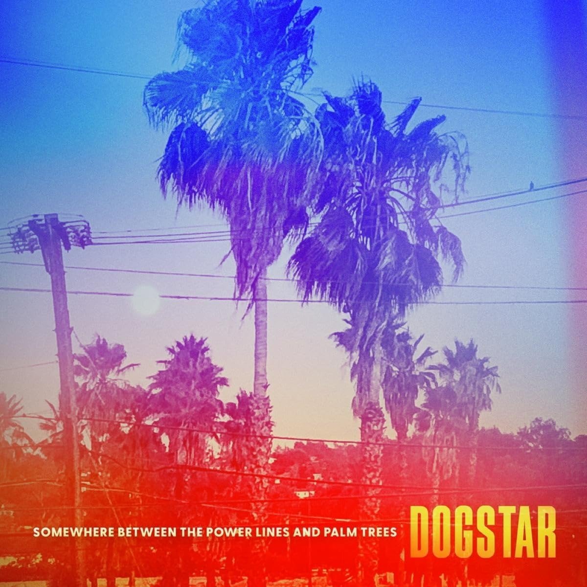 CD Shop - DOGSTAR SOMEWHERE BETWEEN THE POWER LINES AND PALM TREES