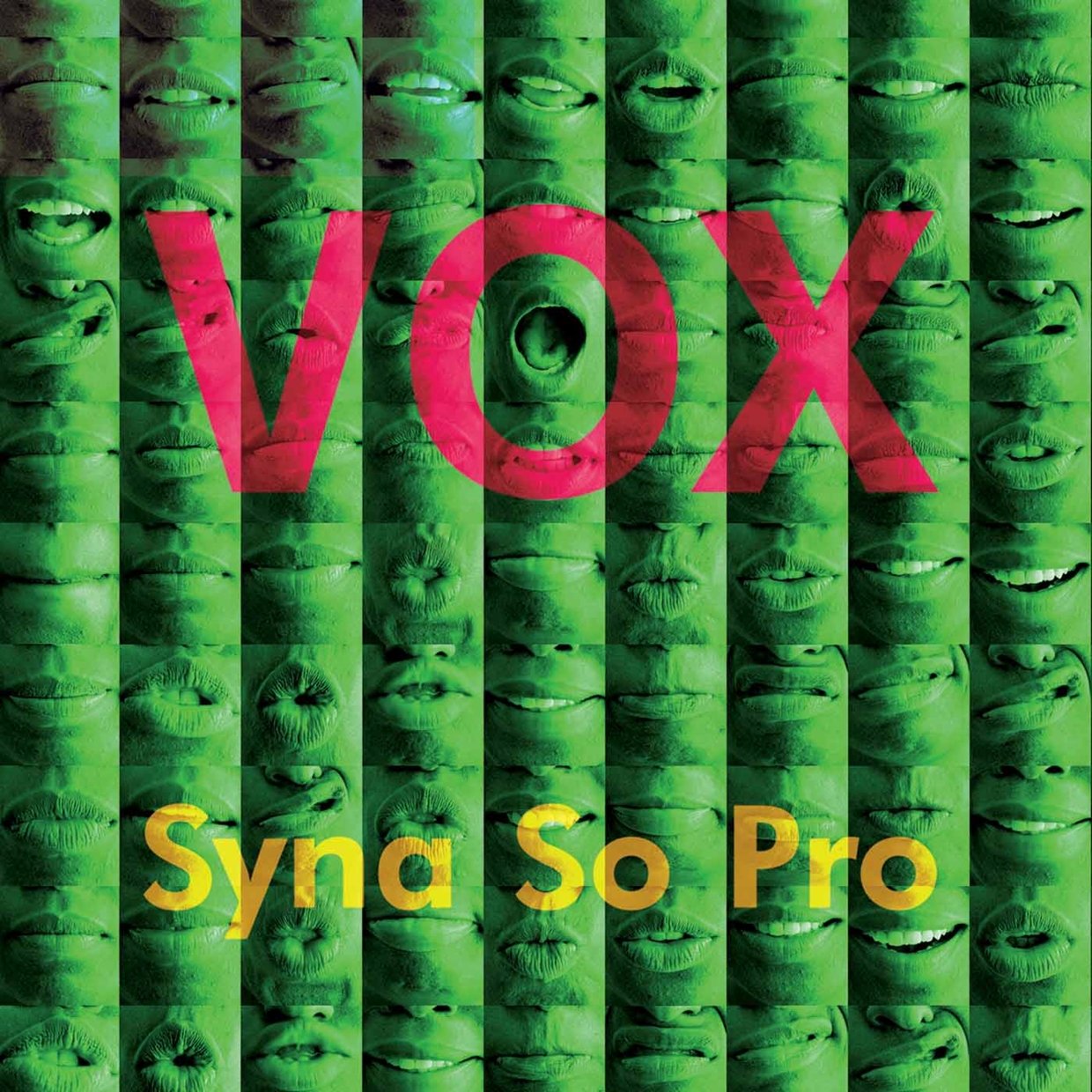 CD Shop - SYNA SO PRO VOX
