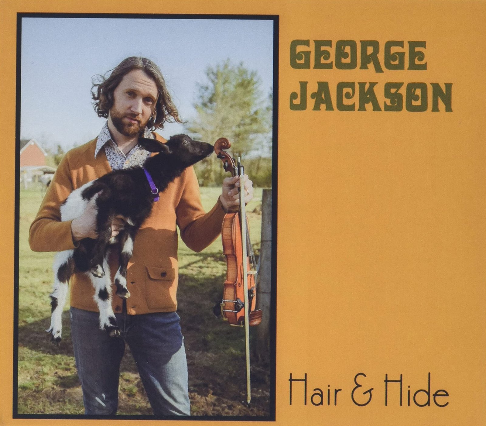 CD Shop - JACKSON, GEORGE HAIR & HIDE