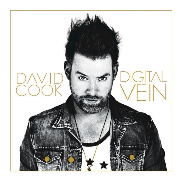 CD Shop - COOK, DAVID DIGITAL VEIN