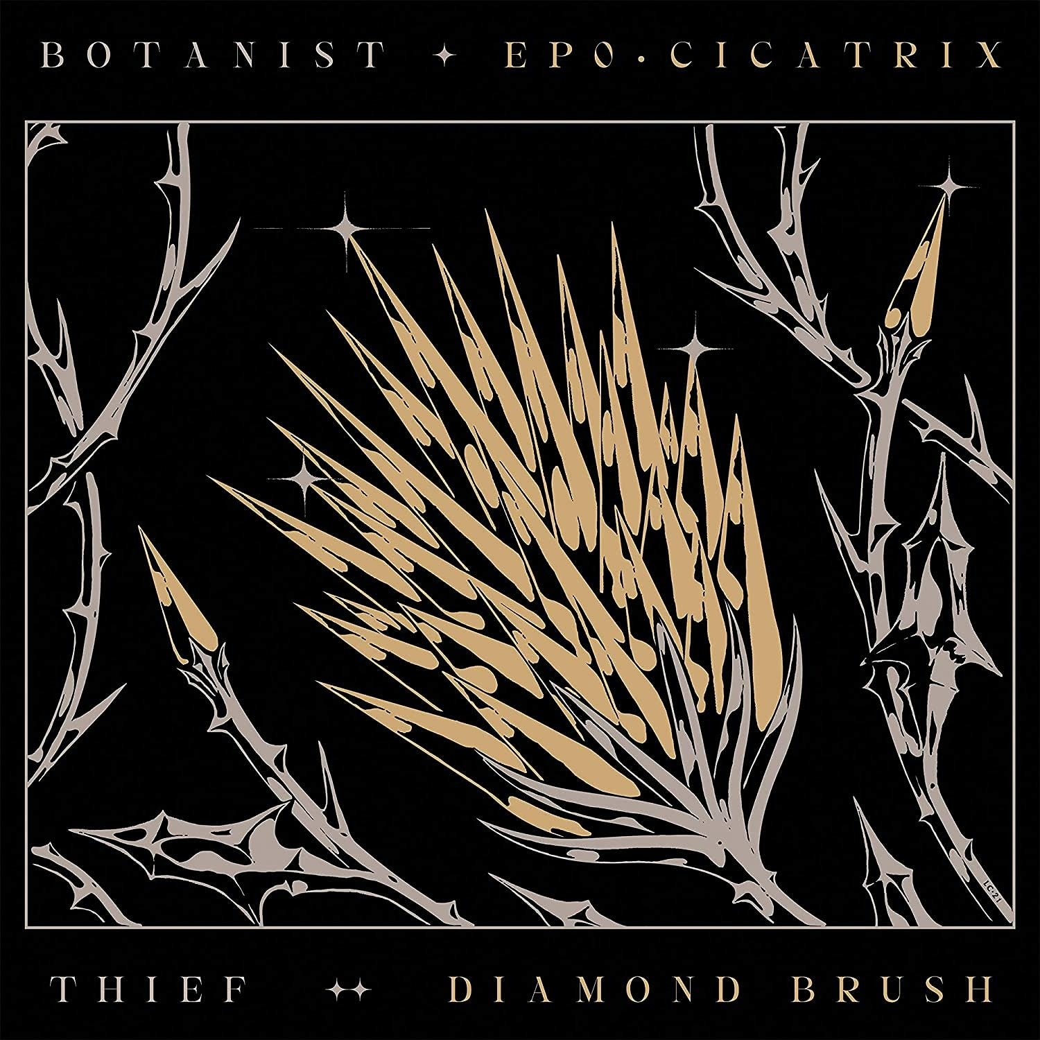 CD Shop - BOTANIST / THIEF CICATRIX / DIAMOND BRUSH