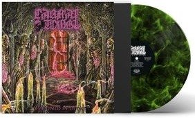 CD Shop - CARNAL TOMB EMBALMED IN DECAY