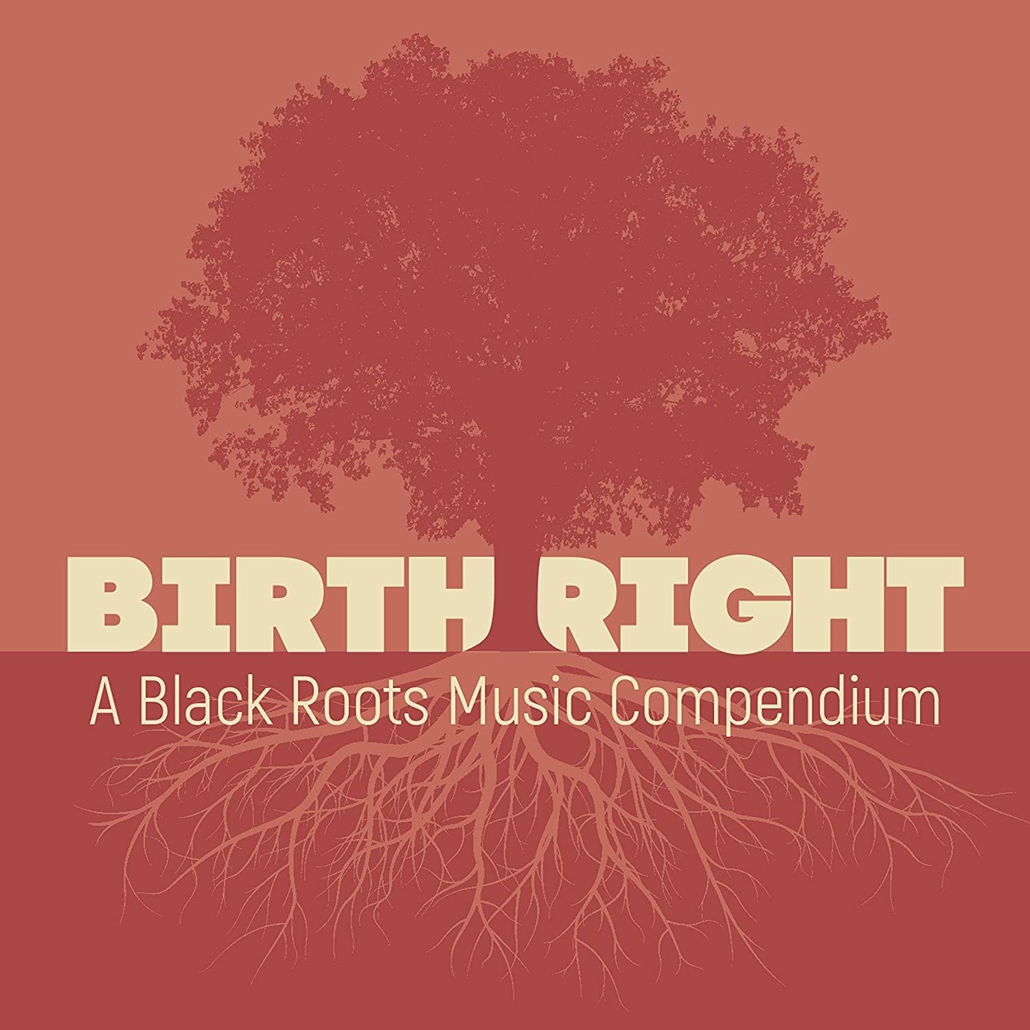 CD Shop - V/A BIRTHRIGHT: A BLACK ROOTS MUSIC COMPENDIUM