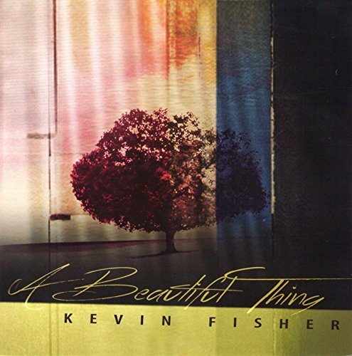 CD Shop - FISHER, KEVIN A BEAUTIFUL THING