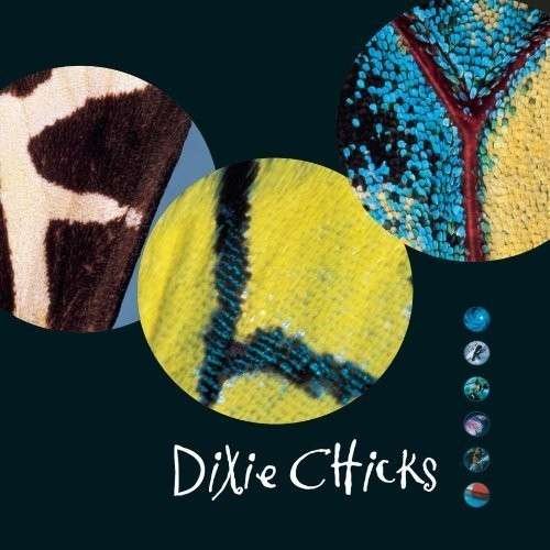 CD Shop - DIXIE CHICKS FLY
