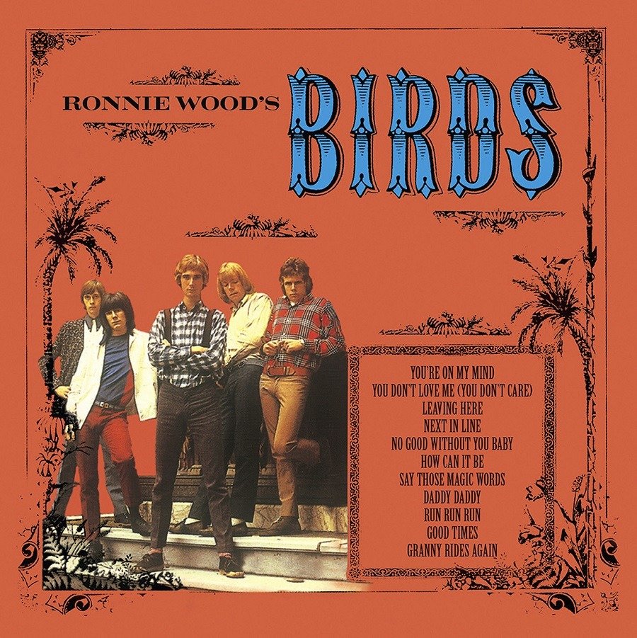 CD Shop - BIRDS RONNIE WOOD\