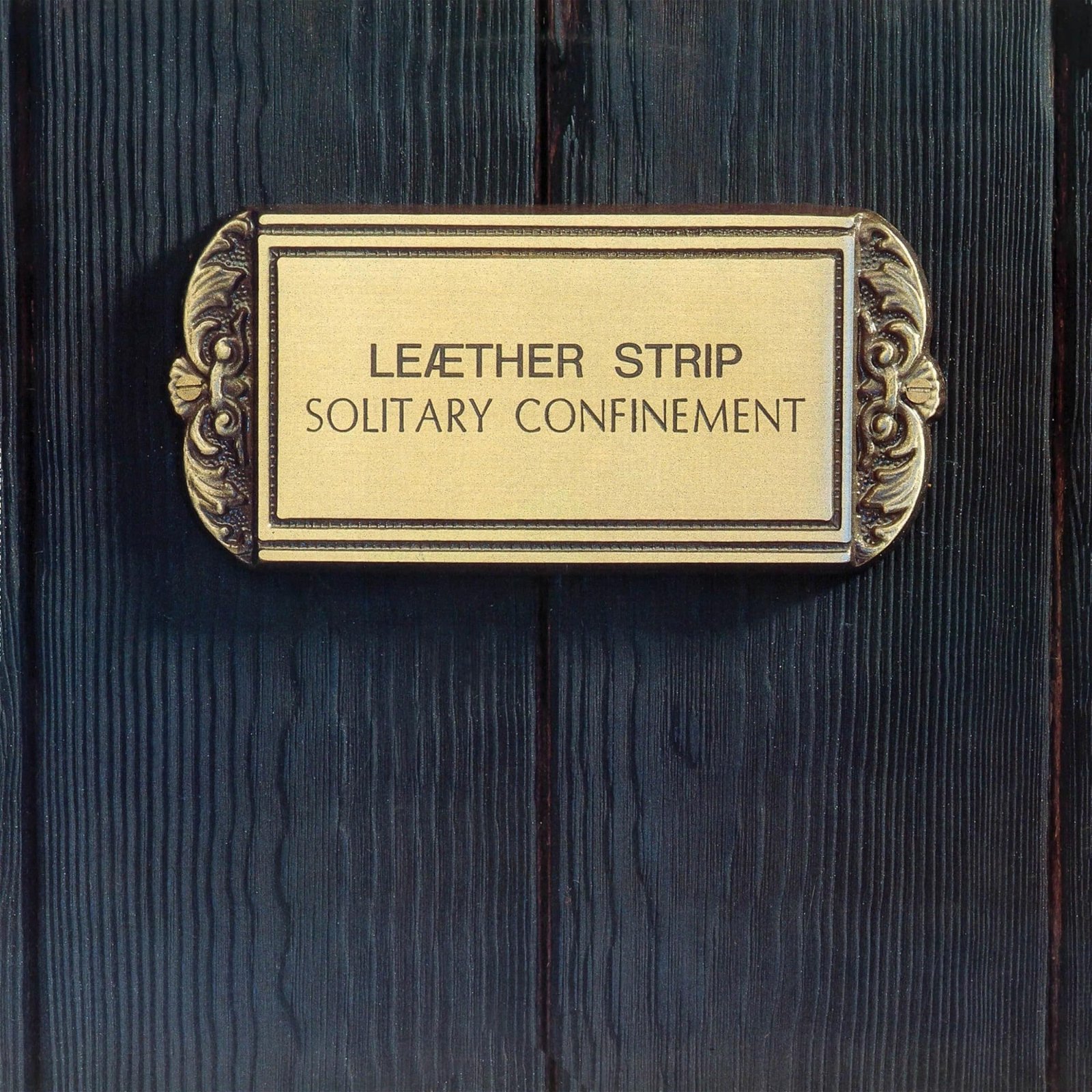 CD Shop - LEAETHER STRIP SOLITARY CONFINEMENT
