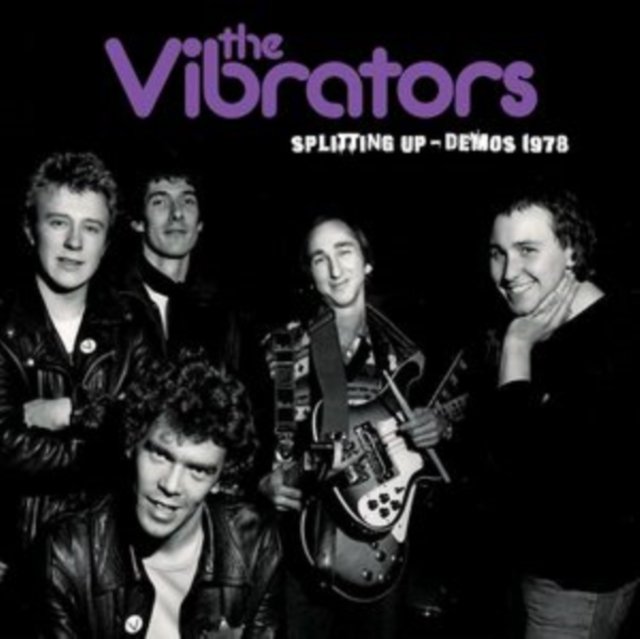 CD Shop - VIBRATORS SPLITTING UP THE DEMOS 1978