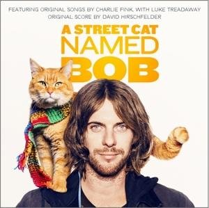 CD Shop - HIRSCHFELDER, DAVID A STREET CAT NAMED BOB