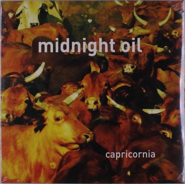 CD Shop - MIDNIGHT OIL CAPRICORNA