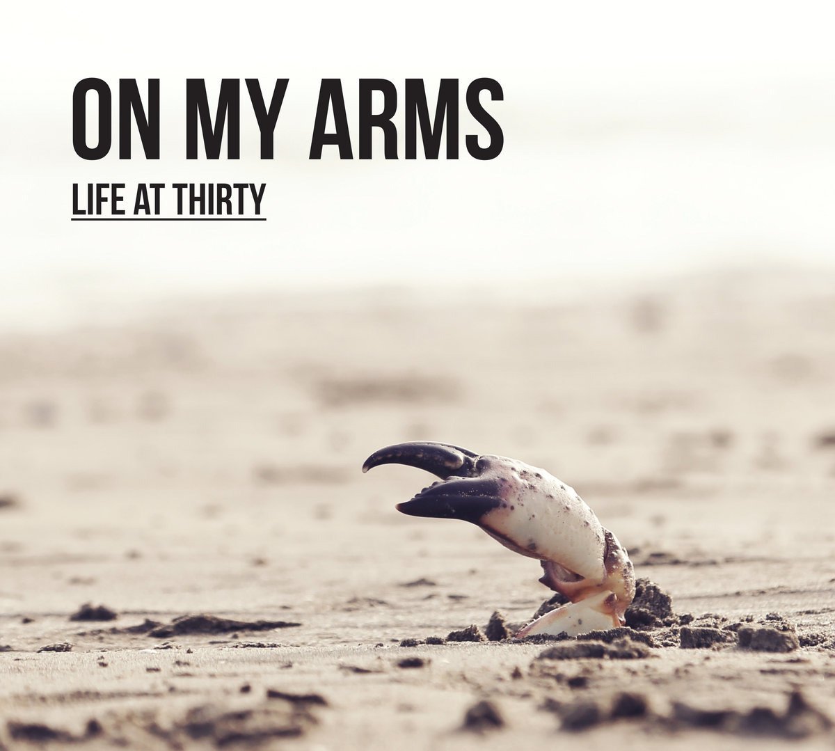 CD Shop - ON MY ARMS LIFE AT 30