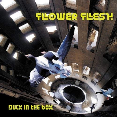 CD Shop - FLOWER FLESH DUCK IN THE BOX
