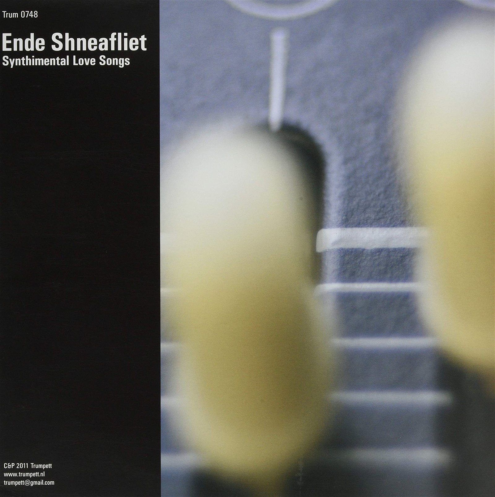 CD Shop - ENDE SHNEAFLIET SYNTHIMENTAL LOVE SONGS