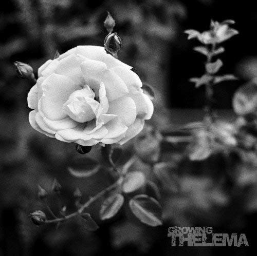 CD Shop - THELEMA GROWING