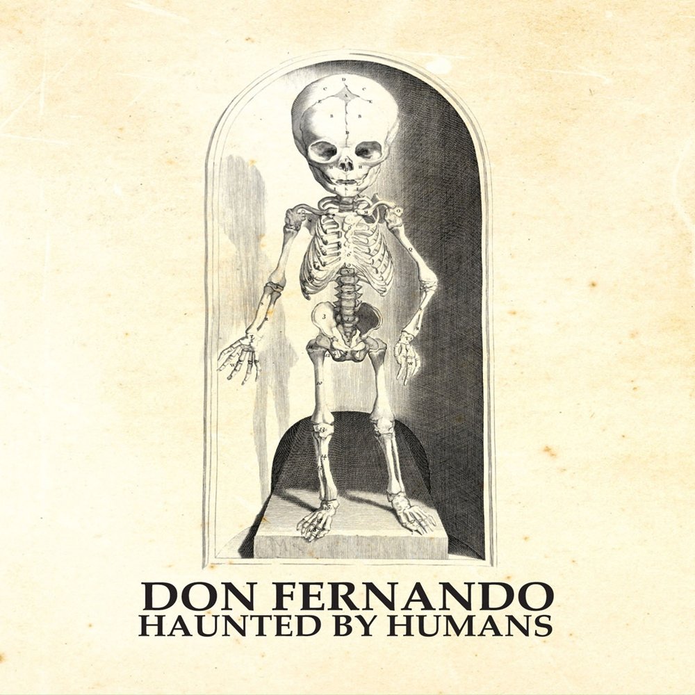 CD Shop - DON FERNANDO HAUNTED BY HUMANS =GOLD=