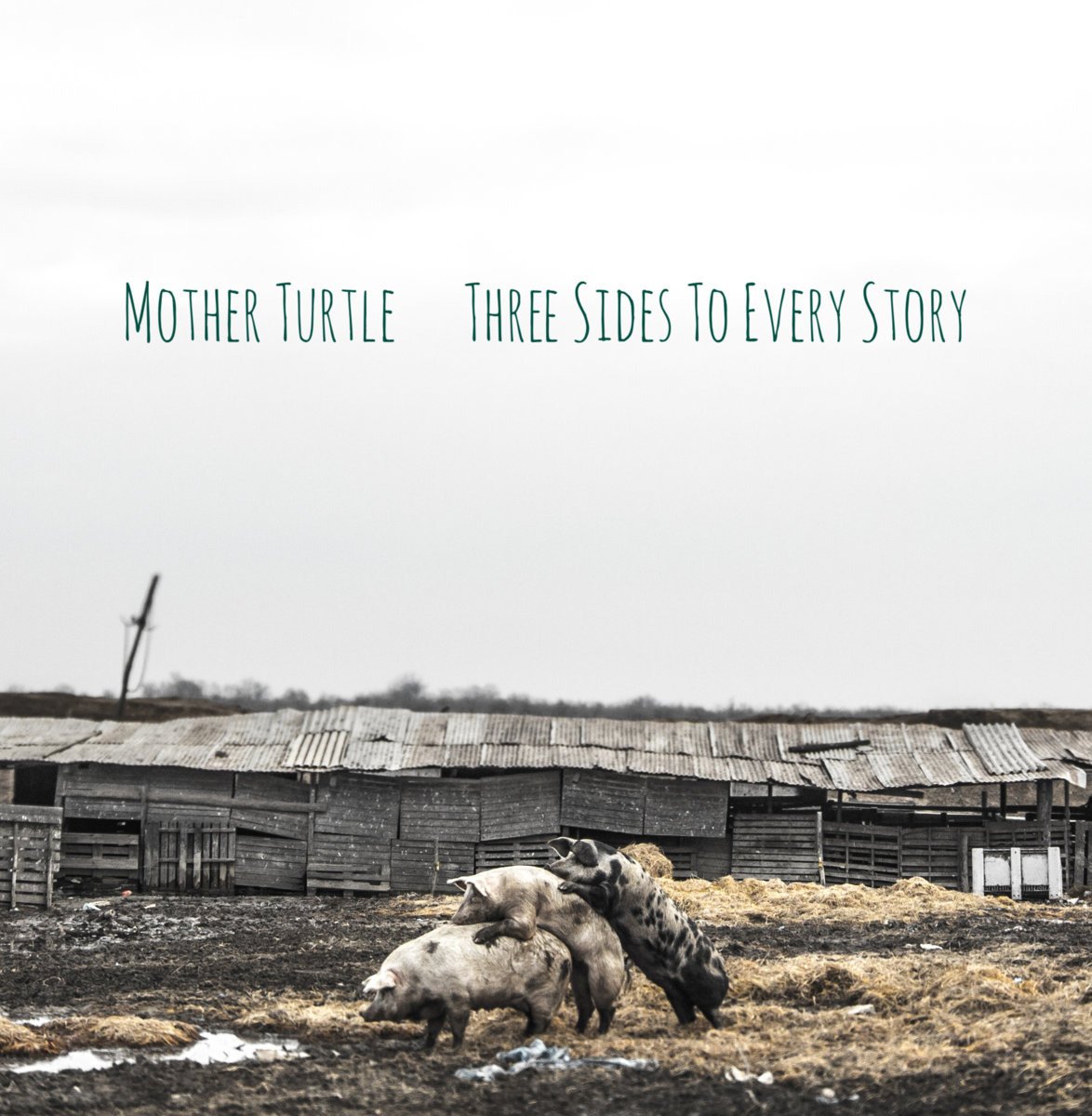 CD Shop - MOTHER TURTLE THREE SIDES TO EVERY STORY