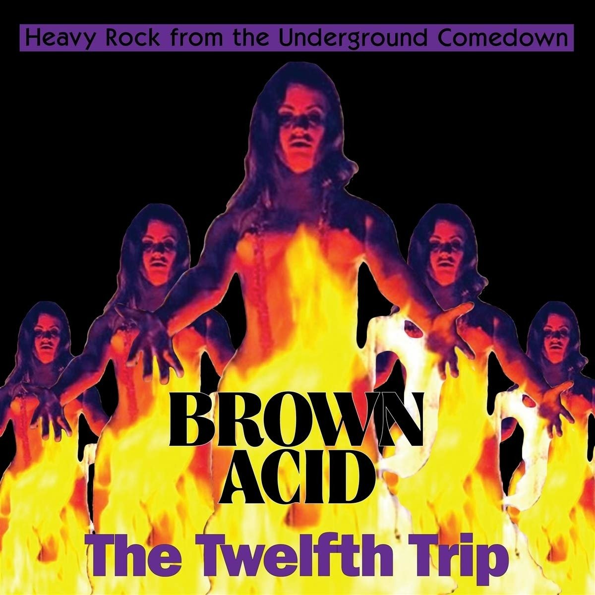 CD Shop - V/A BROWN ACID: THE TWELFTH TRIP