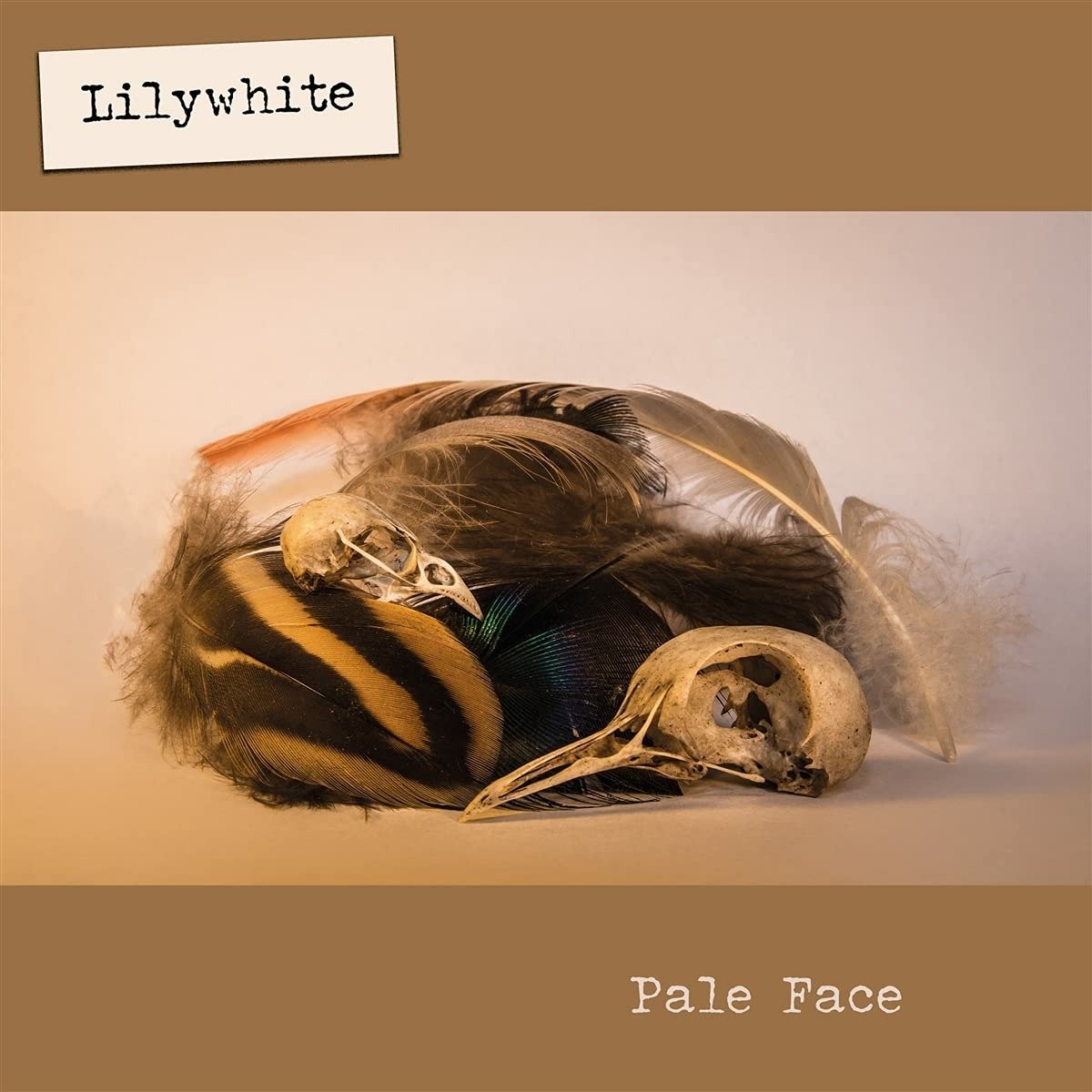CD Shop - LILYWHITE PALE FACE