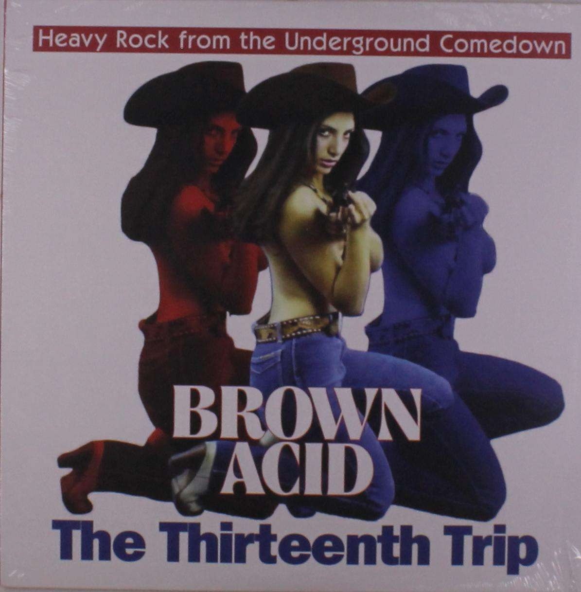 CD Shop - V/A BROWN ACID: THE THIRTEENTH TRIP