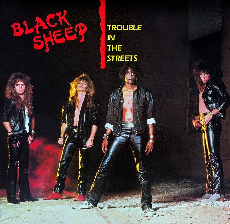 CD Shop - BLACK SHEEP TROUBLE IN THE STREETS