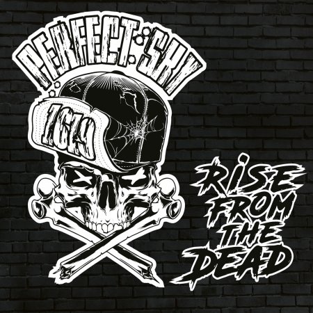 CD Shop - PERFECT SKY RISE FROM THE DEAD